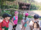 zoo gr 7 wycieczka.jpg